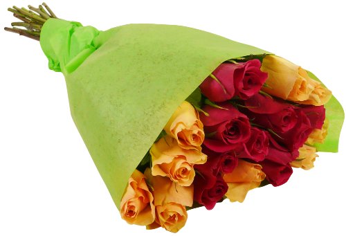 Vibrant multicolored rose bouquet with 18 fresh stems wrapped in green paper, perfect for celebrations and heartfelt sentiments.