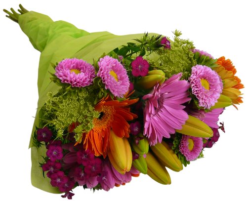 vibrant-seasonal-bouquet-gerbera-daisies-lilies-aster-flowers-17-stems