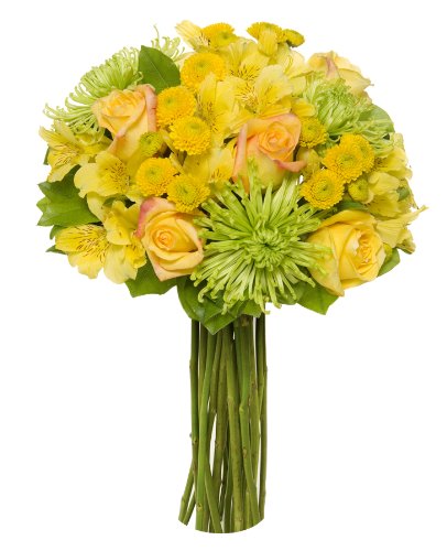 Bright bouquet with green spider mums, yellow roses, alstroemeria, and yellow pompoms, featuring 17 vibrant stems without a vase.