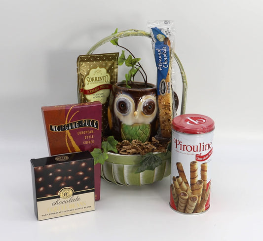 Coffee Lover’s Delight Gift Basket with gourmet coffee, biscotti, owl mug, chocolates, and snacks for a perfect coffee break.