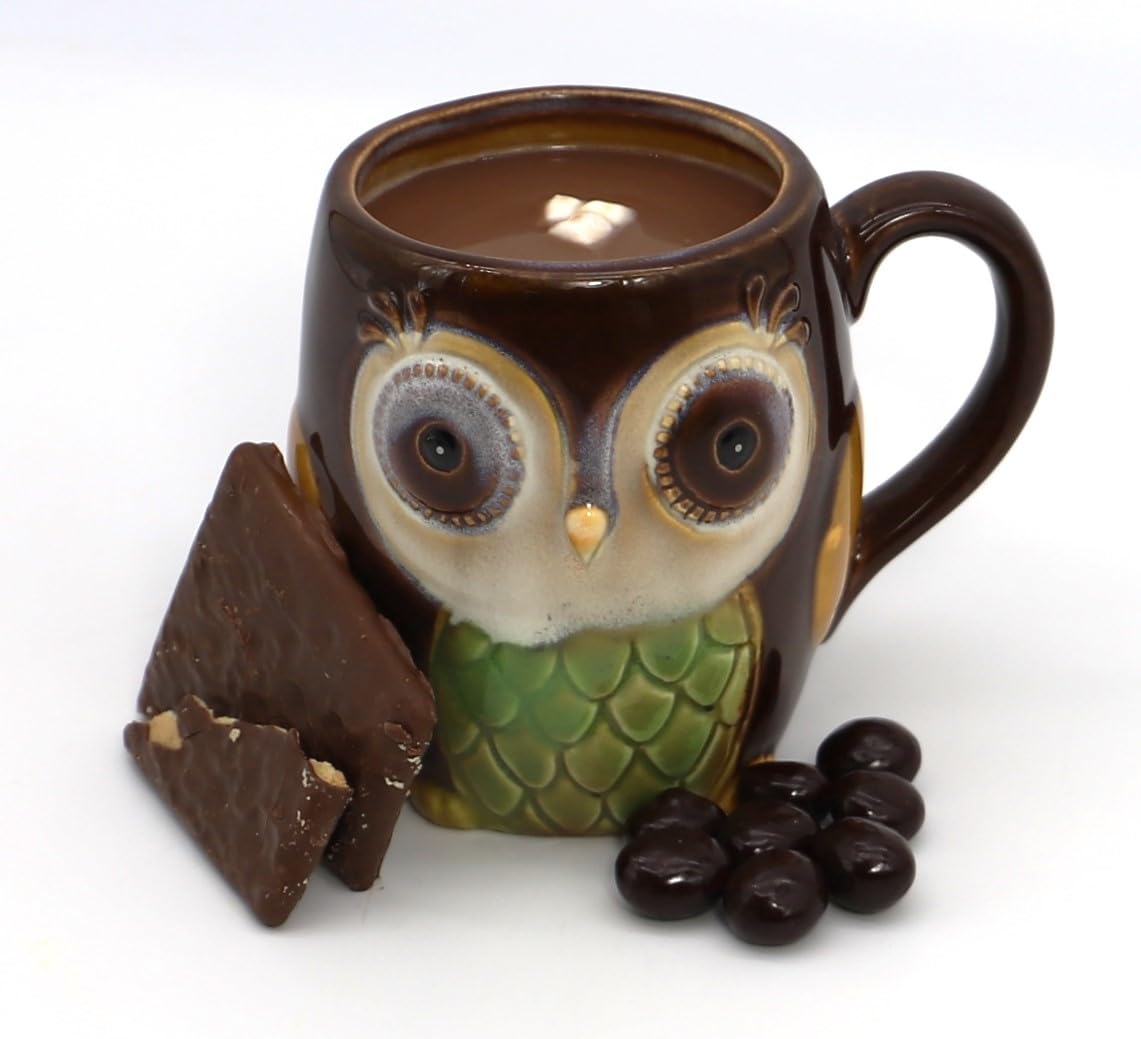 Owl mug filled with hot cocoa, surrounded by biscotti and chocolate-covered coffee beans.