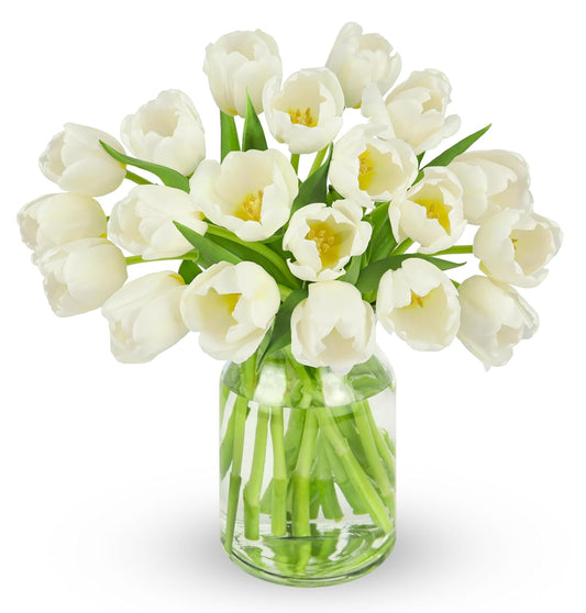 Elegant 20-stem white tulip bouquet in a glass vase, symbolizing grace and purity, perfect for celebrations and special occasions.