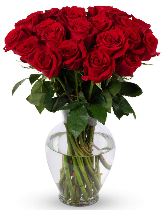 24 red roses in glass vase, a timeless symbol of love and romance, perfect for special occasions, sourced sustainably.