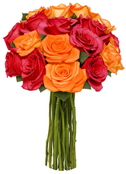 Vibrant multicolored rose bouquet with 18 fresh stems, featuring bold red, orange, and yellow hues without a vase.