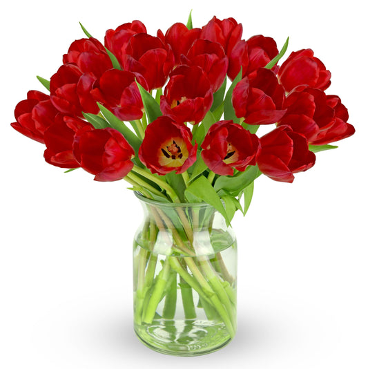 Vibrant 20-stem red tulip bouquet in a glass vase displaying fresh, radiant blooms perfect for gifts or special occasions.