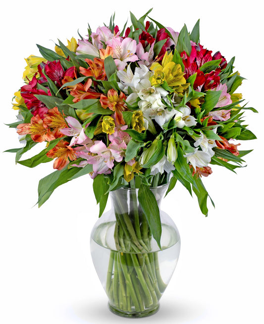 Vibrant 25-Stem Peruvian Lily Bouquet in Glass Vase – Fresh Alstroemeria Flowers for Celebrations and Heartfelt Sentiments