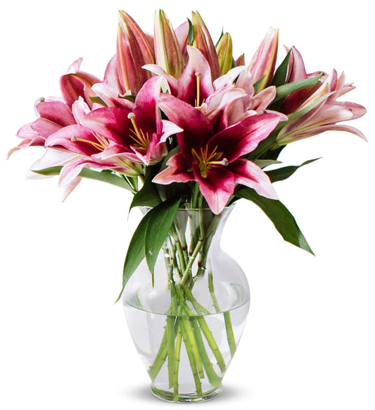 Vibrant 8-Stem Stargazer Lily Bouquet in Glass Vase with Fresh Pink Blooms