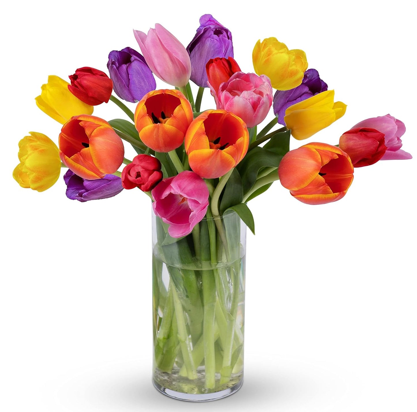 20-stem rainbow tulip bouquet in glass vase, featuring vibrant fresh flowers for joyful celebrations and brightening any occasion.