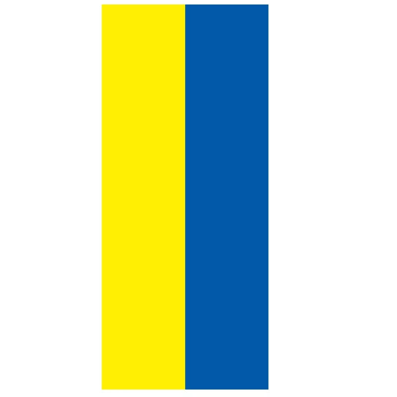 Ukrainian flag with yellow and blue vertical stripes design.