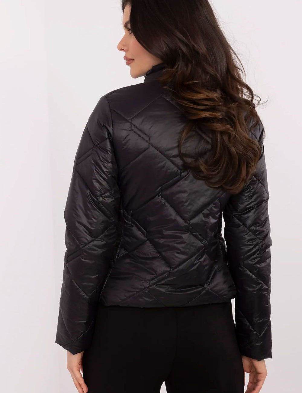 Back view of Morvianne Quilted Zip-Front Jacket in durable nylon, showcasing its elegant silhouette and quilted design.