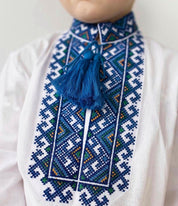 Boy wearing an embroidered Ukrainian vyshyvanka shirt with blue tassels and traditional patterns.