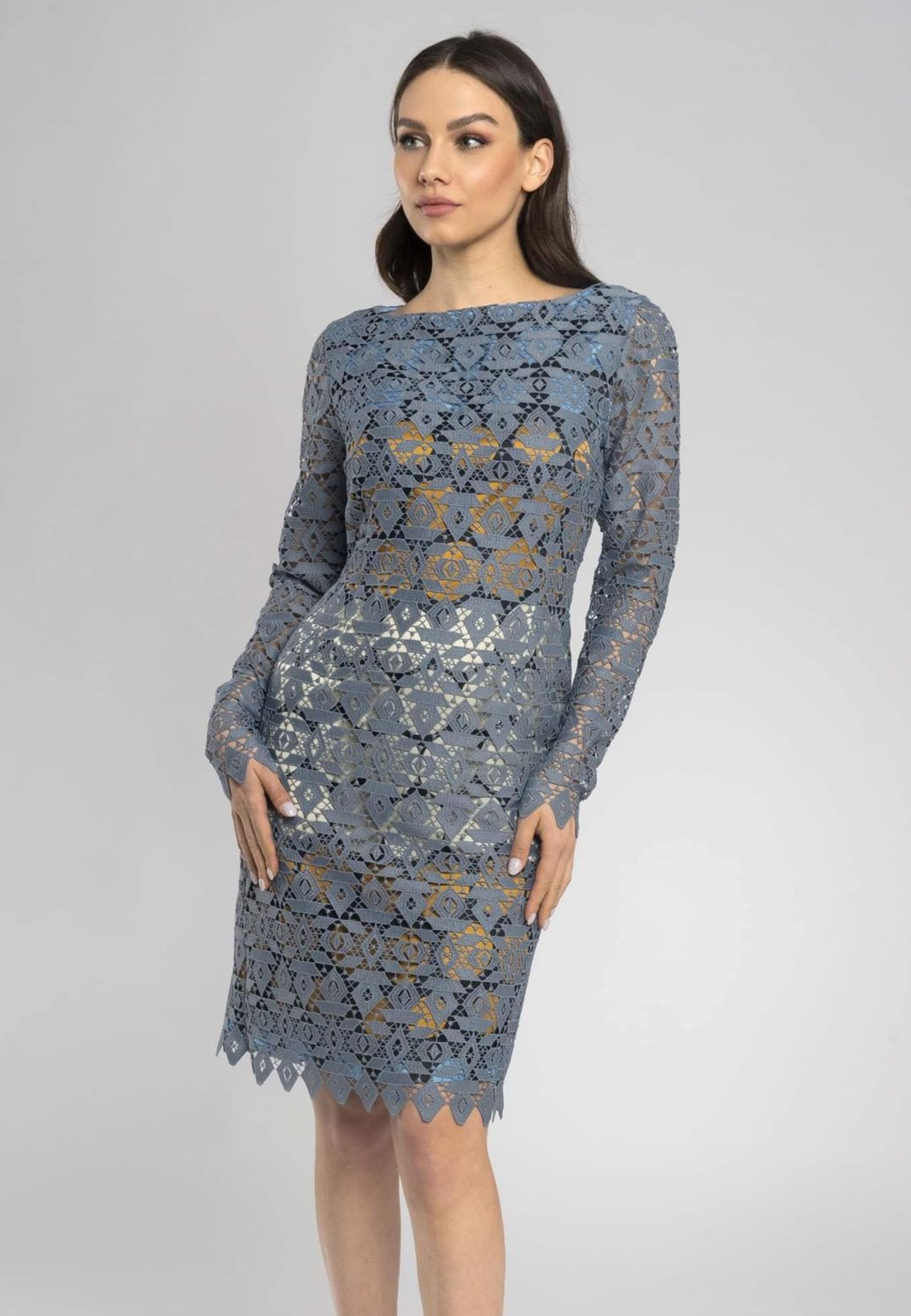 Lunaria Lace Sheath Dress