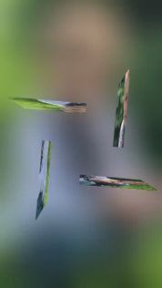 A scenic view with blurred green background and geometric shapes in the foreground.