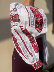 Traditional cotton vyshyvanka blouse with red and black Ukrainian folk embroidery on sleeves and chest.