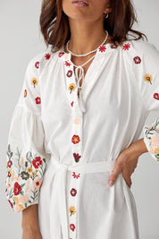 Traditional Ukrainian embroidered dress with floral patterns, Vyshyvanka-style women's clothing, showcasing authentic craftsmanship.