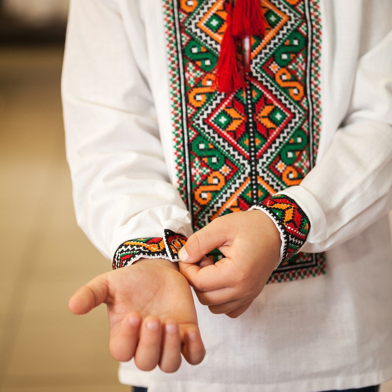 Boy wearing traditional Vyshyvanka embroidered shirt in Ukrainian folk style, showcasing colorful patterns on chest and cuffs.