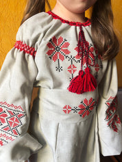 Girl wearing Ukrainian embroidered linen dress with red floral Vyshyvanka motif, traditional style, 3/4 sleeves, and belt.