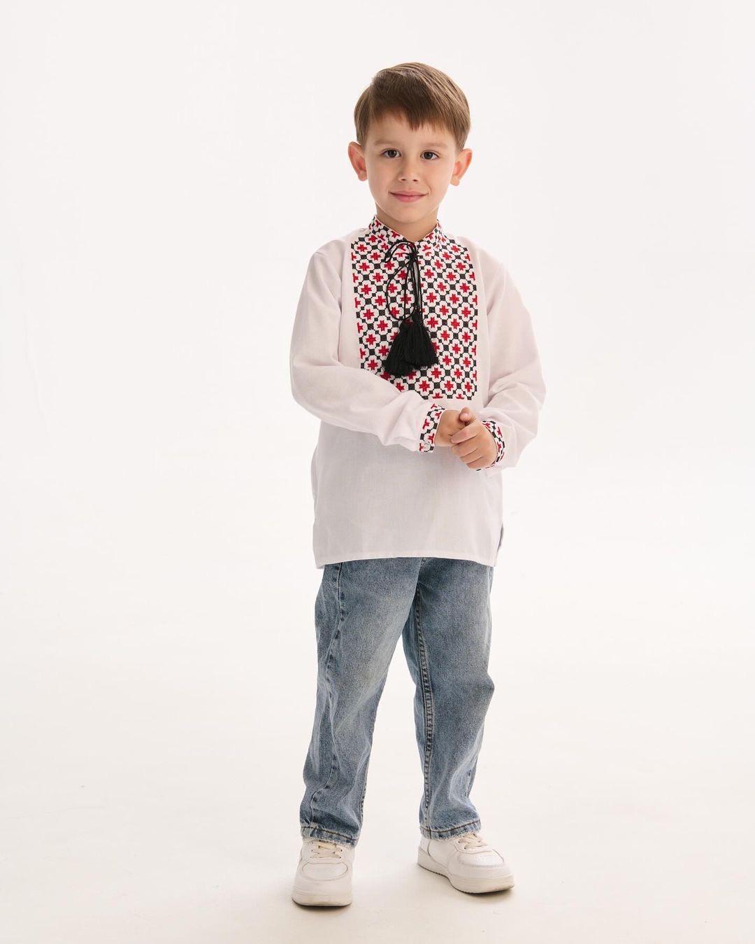 Young boy wearing a Ukrainian embroidered shirt, traditional Vyshyvanka style, with red and black patterns. Cultural attire for boys.