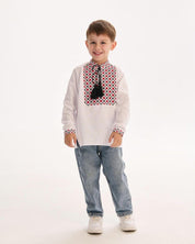 Boy wearing Ukrainian embroidered shirt, vyshyvanka style, with traditional Slavic design, perfect for cultural celebrations.