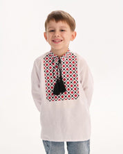 Boy wearing a Ukrainian vyshyvanka shirt with traditional embroidery, celebrating Slavic folk art and culture.