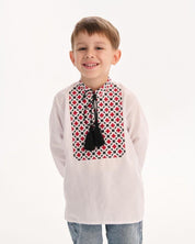 Boy wearing a traditional Ukrainian embroidered vyshyvanka shirt with Slavic folk art design.