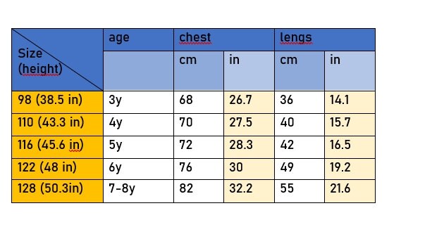 Size chart for girls' traditional Ukrainian embroidered blouse, showing age, chest, and length measurements in cm and inches.