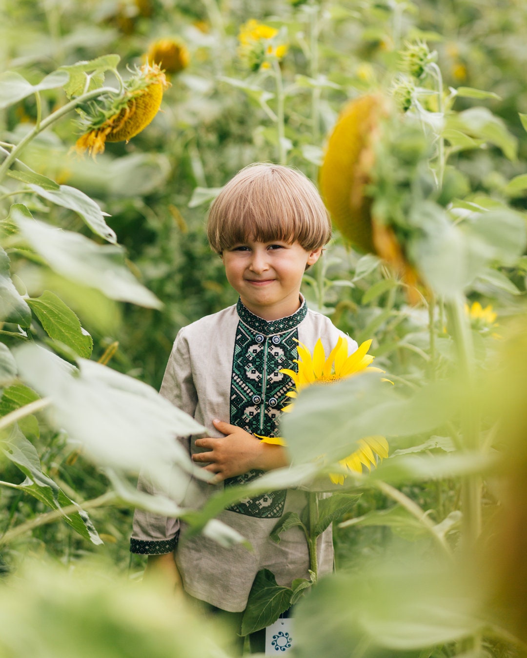 Boy wearing Ukrainian embroidered shirt with sunflower in field, showcasing traditional vyshyvanka design.
