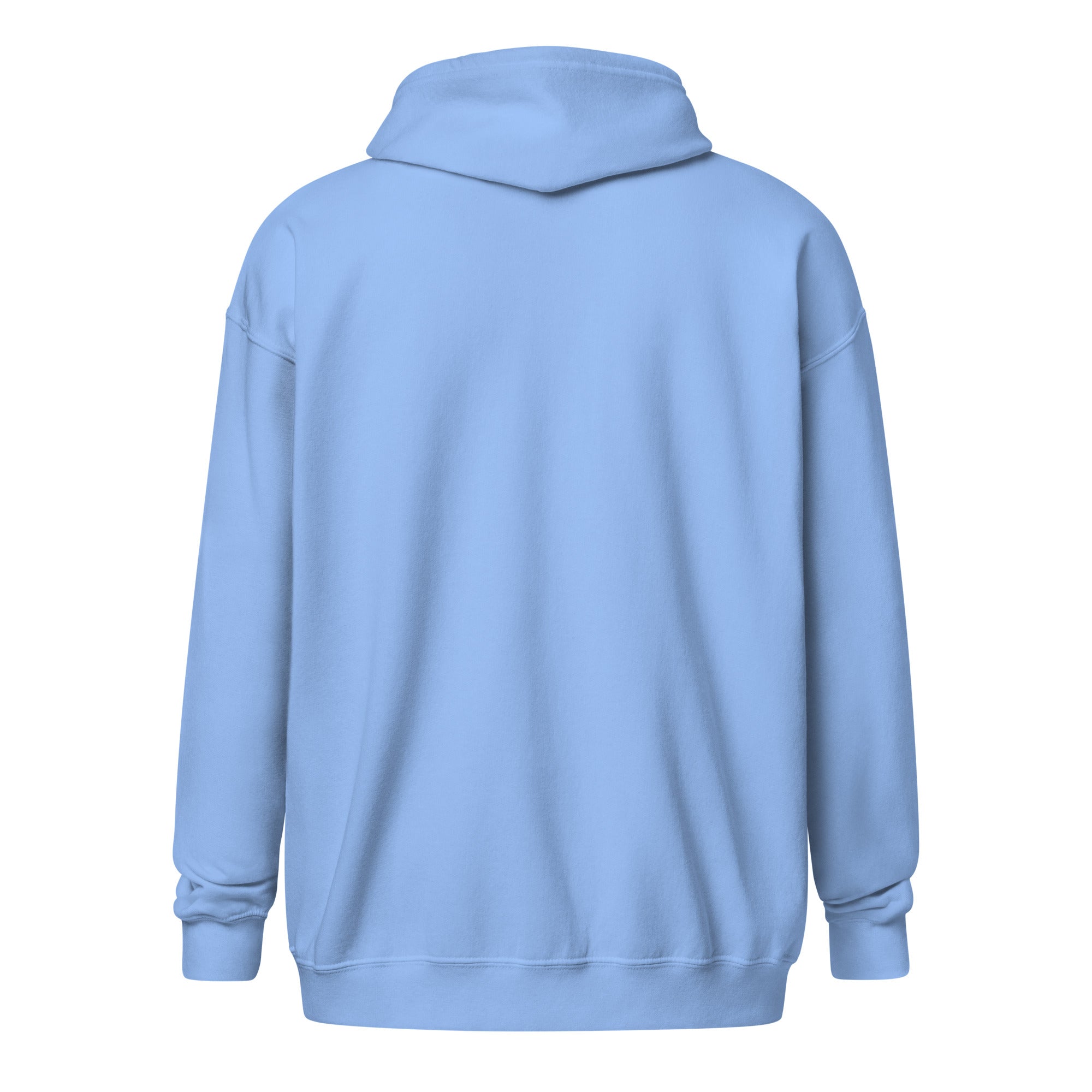Light blue women's heavy blend hoodie with hood, back view, showcasing cozy fleece material and tailored fit.