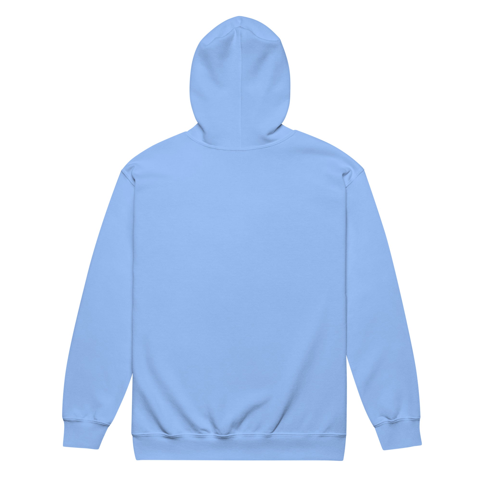 Light blue women's zip hoodie with soft fleece lining shown from the back. Ideal for displaying Ukrainian heritage design.